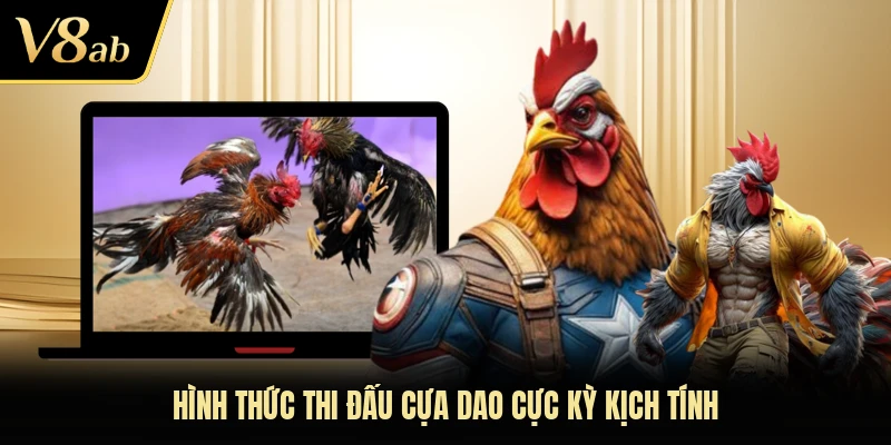 Hình thức thi đấu cựa dao cực kỳ kịch tính