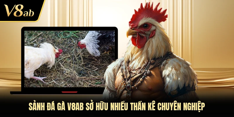 Sảnh đá gà V8AB sở hữu nhiều thần kê chuyên nghiệp